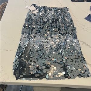 Zara Silver Sequin Pencil Skirt